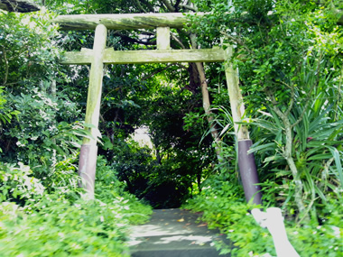 入口の鳥居