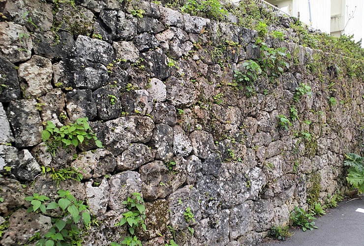 蔡温